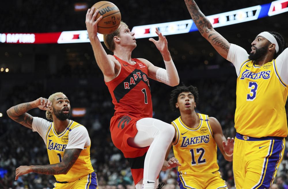 这位与霍伊 这位与霍伊